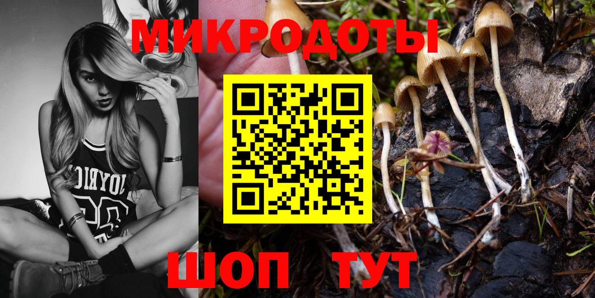 Псилоцибиновые грибы Cubensis Магадан