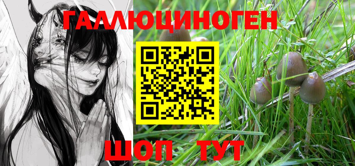Псилоцибиновые грибы GOLDEN TEACHER  Вход с VPN  Магадан 